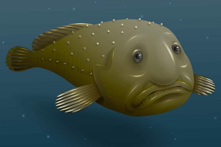 Interesting Blobfish Facts for Kids – Fun Facts 4 Kids