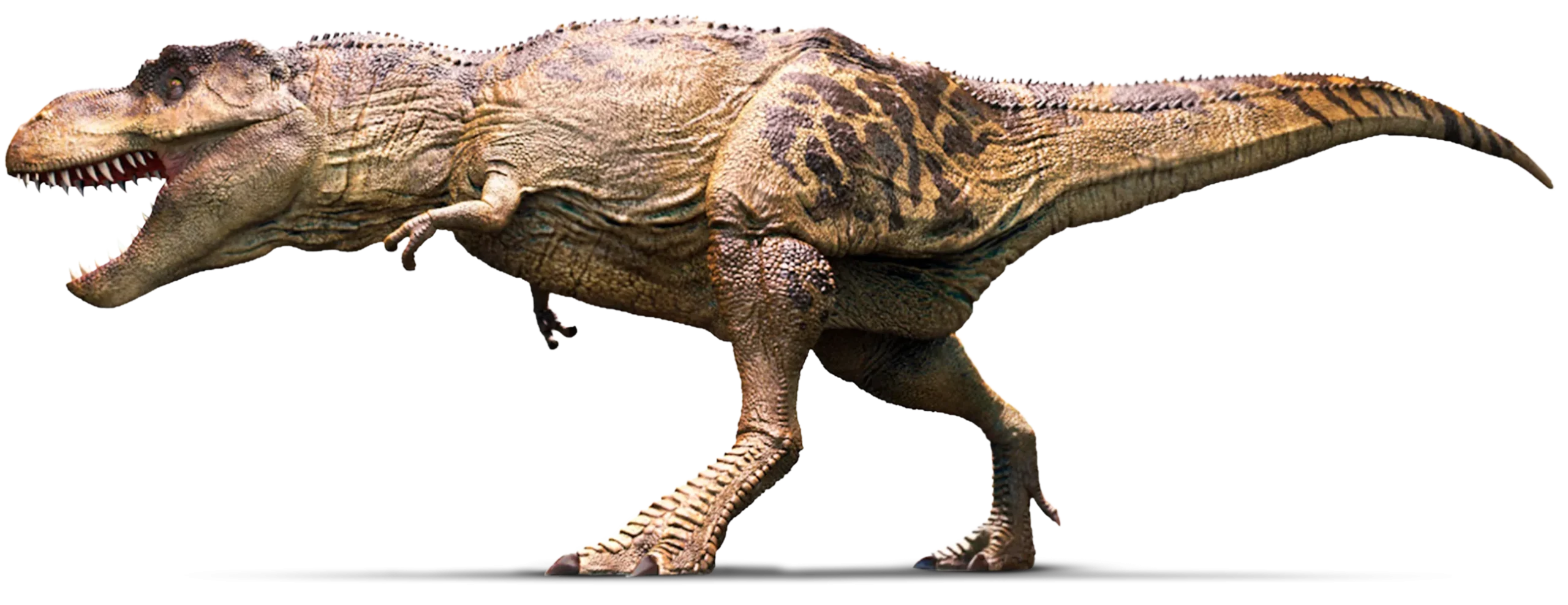 10 Facts About Tyrannosaurus Rex, King of the Dinosaurs