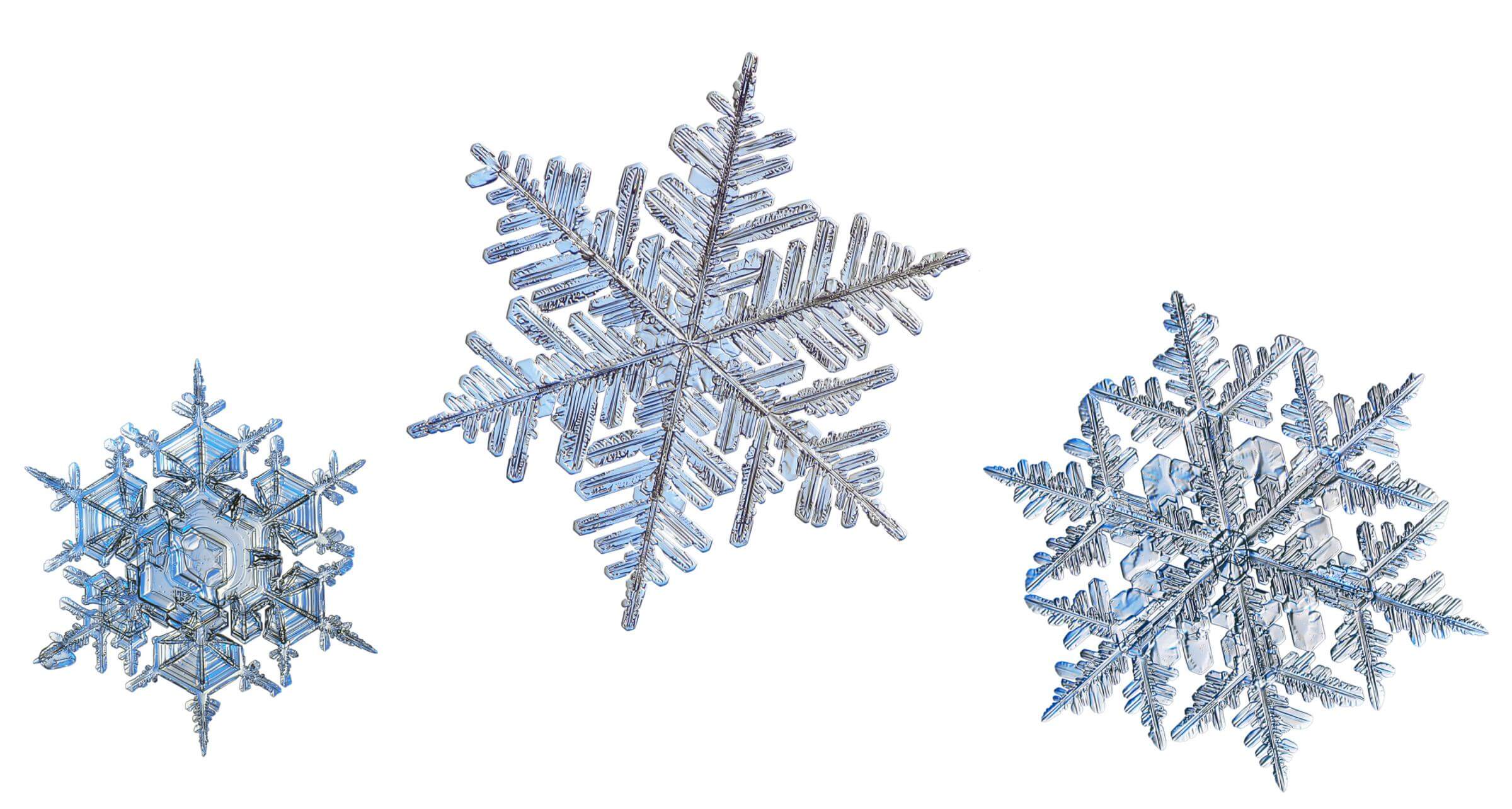 Did you know: Interesting facts about snowflakes, The Learning Key