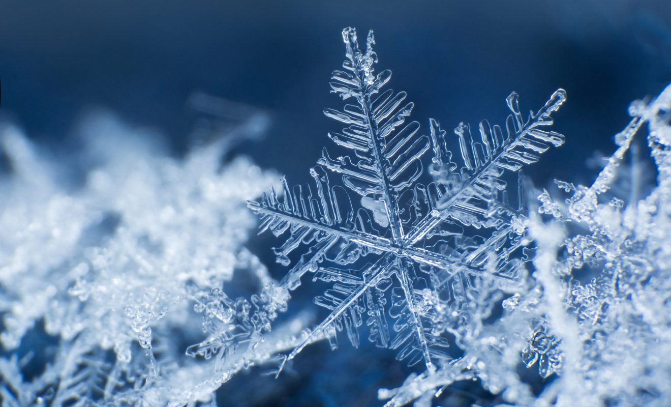 World Largest Snowflake, world record at Fort Keogh, Montana